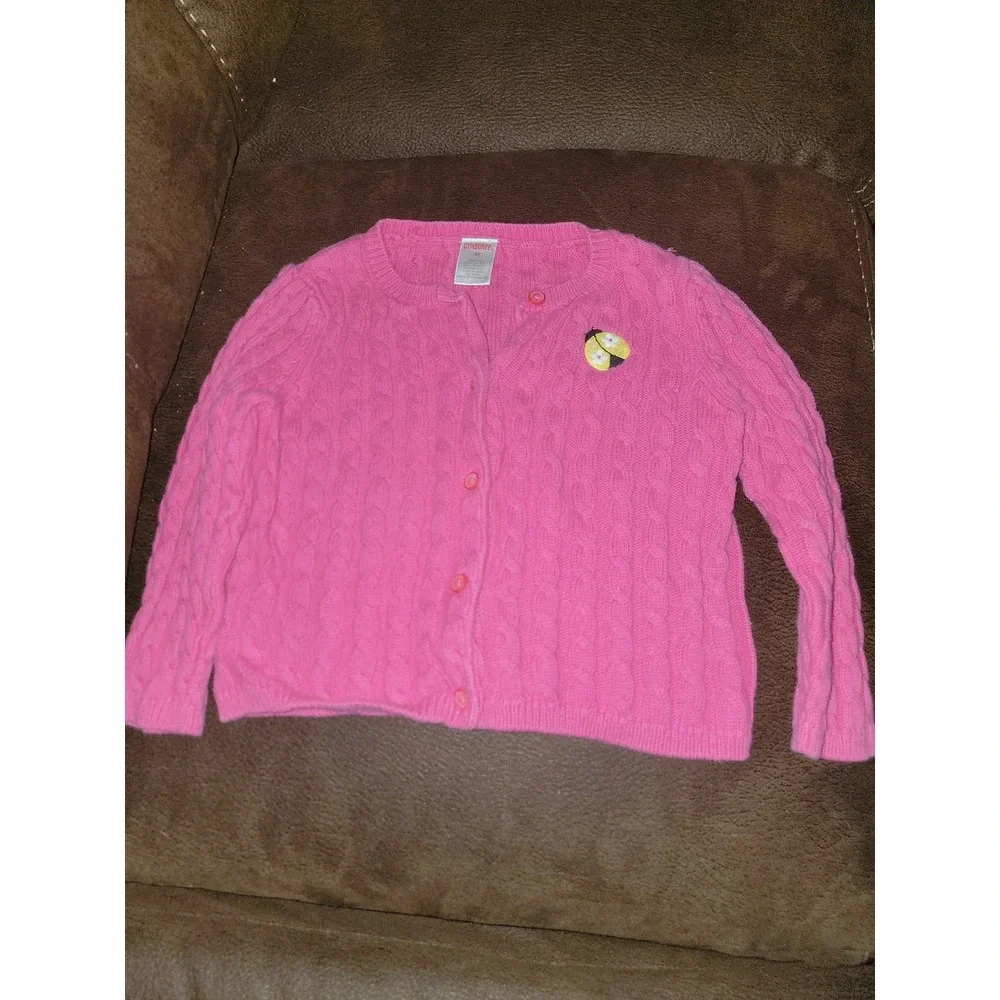 Gymboree pretty lady ladybug‎ pink sweater size 3t
